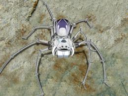 Robo Spider Picture